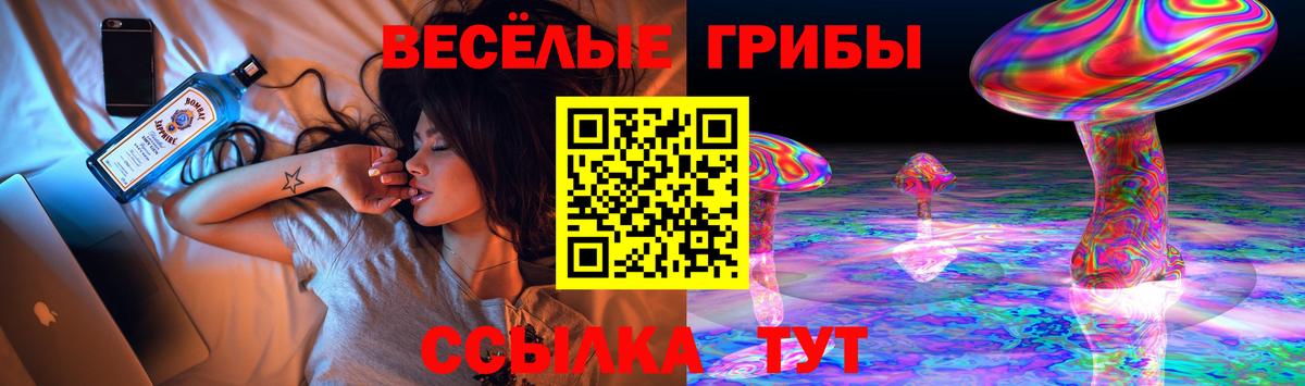 Елизово  Галлюциногенные грибы мицелий  Псилоцибиновые грибы ЛСД  Вход с VPN 